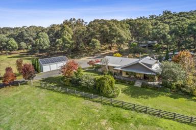 Farm For Sale - VIC - Franklinford - 3461 - A mudbrick haven of warmth and connection on 16.5 acres  (Image 2)