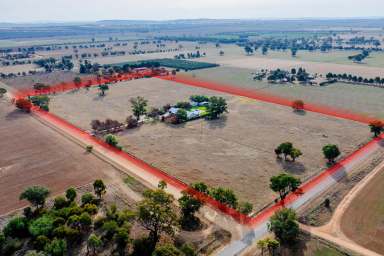 Farm For Sale - NSW - Eunanoreenya - 2650 - Rural Living with City Comforts  (Image 2)