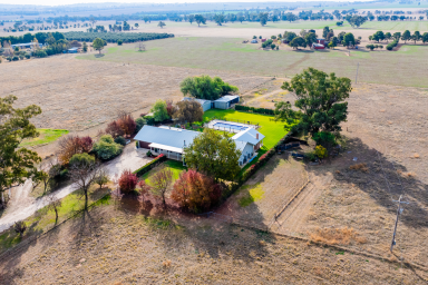 Farm For Sale - NSW - Eunanoreenya - 2650 - Rural Living with City Comforts  (Image 2)