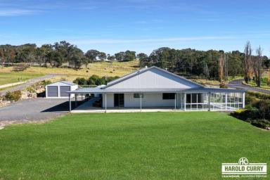 Farm For Sale - NSW - Tenterfield - 2372 - Elevation Providing Magnificent Views.....  (Image 2)