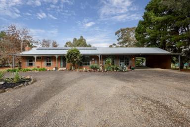 Farm For Sale - VIC - Clunes - 3370 - Sustainable country lifestyle on one hectare with spacious comfy 4 bed home in garden setting.  (Image 2)