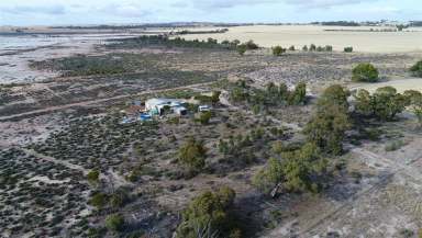 Farm Sold - WA - Dumbleyung - 6350 - Unique Conservation Opportunity on the Coblinine River  (Image 2)