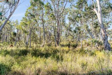 Farm For Sale - NSW - Tallong - 2579 - Create Your Country Lifestyle  (Image 2)