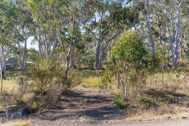 Farm For Sale - NSW - Tallong - 2579 - Create Your Country Lifestyle  (Image 2)