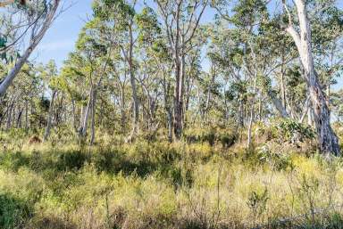 Farm For Sale - NSW - Tallong - 2579 - Create Your Country Lifestyle  (Image 2)