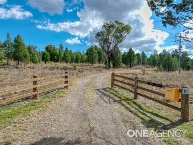 Farm For Sale - NSW - Quirindi - 2343 - An opportunity not to be missed  (Image 2)
