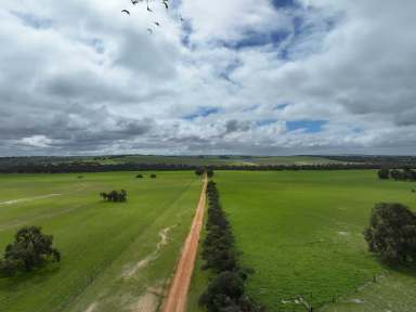 Farm For Sale - WA - Badgingarra - 6521 - 'Mullering Brook Farm' - Ripe for Conversion  (Image 2)