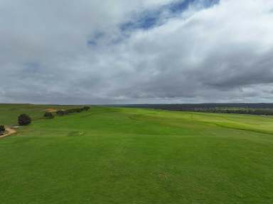 Farm For Sale - WA - Badgingarra - 6521 - 'Mullering Brook Farm' - Ripe for Conversion  (Image 2)