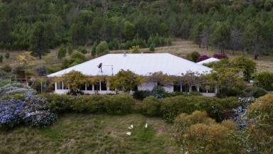Farm For Sale - NSW - Gunnedah - 2380 - Sunny Uralba - Prime Position - Family home set on 818 acres!  (Image 2)