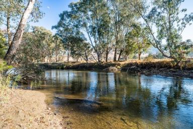 Farm For Sale - VIC - Gundowring - 3691 - "The Flats"  (Image 2)