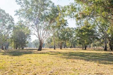 Farm For Sale - VIC - Gundowring - 3691 - "The Flats"  (Image 2)
