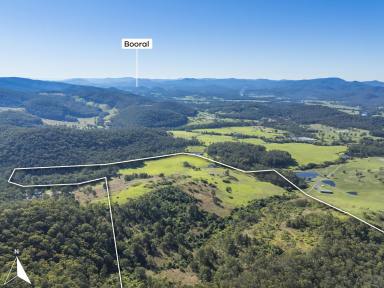 Farm For Sale - NSW - Booral - 2425 - Weekend Escape with Dwelling Entitlement  (Image 2)