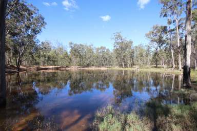 Farm For Sale - QLD - Monogorilby - 4626 - Good Value Breeder Country  (Image 2)