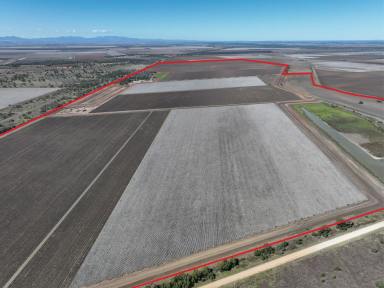Farm Auction - NSW - Narrabri - 2390 - Premium Irrigation with Water Security  (Image 2)