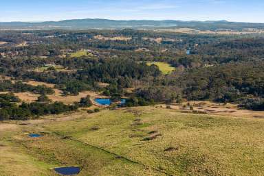 Farm For Sale - NSW - Tallong - 2579 - Build The Dream Country Retreat  (Image 2)