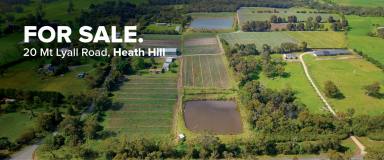 Farm For Sale - VIC - Heath Hill - 3981 - MARKET GARDEN ESTABLISHED AND IMMEDIATE POSSESSION  (Image 2)