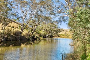 Farm For Sale - VIC - Gnarwarre - 3221 - "Riverdale" - on the Barwon River  (Image 2)
