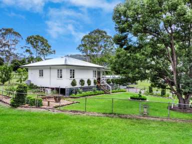 Farm Sold - QLD - Canungra - 4275 - Discover the Charm of this renovated country cottage, thriving as an AirBNB nestled on one of the best 5 acre lots you'll find with abundant water!  (Image 2)