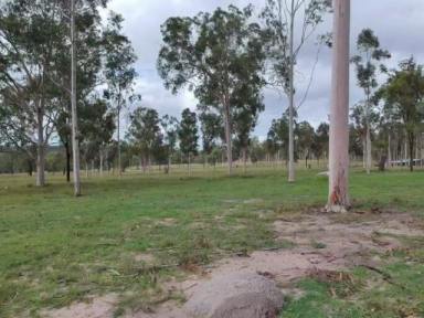Farm For Sale - QLD - Eidsvold - 4627 - HERE IS YOUR WEEKEND GETAWAY  (Image 2)