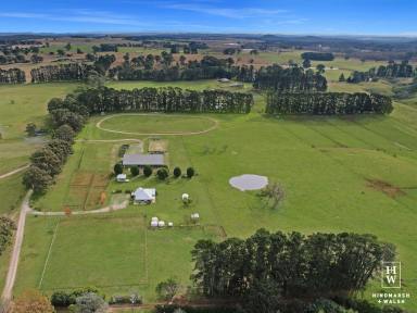 Farm For Sale - NSW - Wingello - 2579 - Bespoke Equestrian Property  (Image 2)