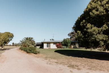 Farm Sold - QLD - Tara - 4421 - IRRIGATION - FARMING - BACKGROUNDING - DIVERSED HOLDING.

EFFECIENT & FUNCTIONAL LAYOUT WITH SECURITY OF WATER.  (Image 2)