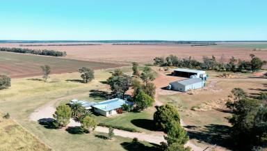 Farm Sold - QLD - Tara - 4421 - IRRIGATION - FARMING - BACKGROUNDING - DIVERSED HOLDING.

EFFECIENT & FUNCTIONAL LAYOUT WITH SECURITY OF WATER.  (Image 2)