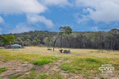Farm For Sale - NSW - Mount Mitchell - 2365 - Secluded 9.24ha Rural Building Block  (Image 2)