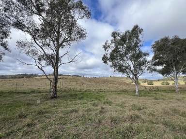 Farm For Sale - NSW - Bannaby - 2580 - Peace and Quiet, Surrounded By Beautiful Views, Creek and 2 Dams, Zoned Ru2, Perfect  Country Weekend Retreat.  (Image 2)