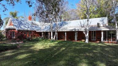Farm For Sale - NSW - Beelbangera - 2680 - Peaceful Sanctuary With Town Proximity  (Image 2)