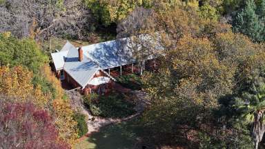 Farm For Sale - NSW - Beelbangera - 2680 - Peaceful Sanctuary With Town Proximity  (Image 2)