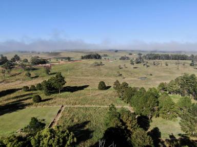 Farm For Sale - NSW - Kyogle - 2474 - Your Dream Home Awaits  (Image 2)