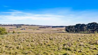 Farm For Sale - NSW - Oberon - 2787 - Sunset Ridge  (Image 2)