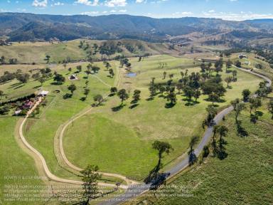 Farm For Sale - NSW - Ganbenang - 2790 - Southern Cross  (Image 2)