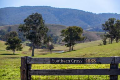 Farm For Sale - NSW - Ganbenang - 2790 - Southern Cross  (Image 2)