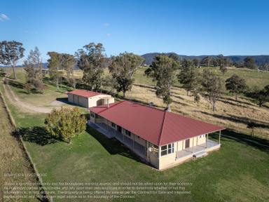 Farm For Sale - NSW - Ganbenang - 2790 - Jemalah Downs  (Image 2)