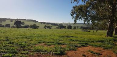 Farm For Sale - WA - Gingin - 6503 - Country Heights Estate Stage Two  (Image 2)