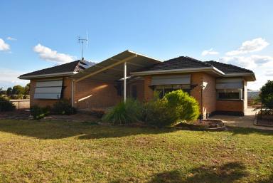 Farm For Sale - VIC - Wyuna - 3620 - Clean Property, Excellent Set Up  (Image 2)