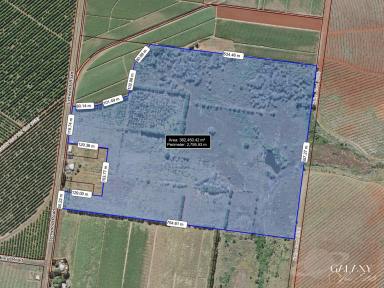 Farm For Sale - QLD - North Isis - 4660 - 36.25 Hectares Of Deep Red Soil  (Image 2)