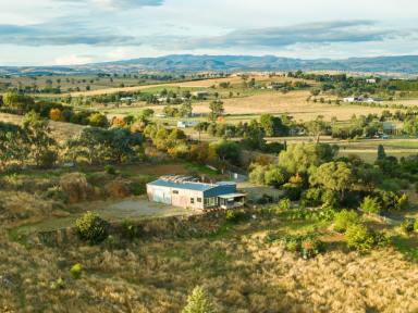 Farm For Sale - NSW - Canowindra - 2804 - “Sunset Ridge Hideaway”  (Image 2)