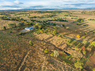 Farm For Sale - NSW - Canowindra - 2804 - “Sunset Ridge Hideaway”  (Image 2)