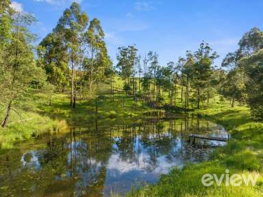 Farm For Sale - VIC - Strzelecki - 3950 - Strezlecki Valley Lifestyle Property near Leongatha area  (Image 2)