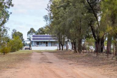 Farm For Sale - NSW - Mendooran - 2842 - CHARMING 4 BEDROOM COTTAGE ON 6 HECTARES - A DREAM COME TRUE!  (Image 2)