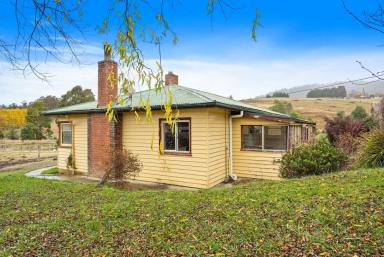 Farm Sold - TAS - Geeveston - 7116 - Surprisingly Spacious  (Image 2)