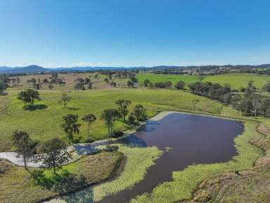 Farm For Sale - NSW - Killawarra - 2429 - Vacant block with irrigation  (Image 2)