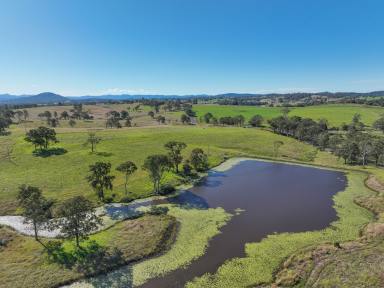 Farm For Sale - NSW - Killawarra - 2429 - Vacant block with irrigation  (Image 2)