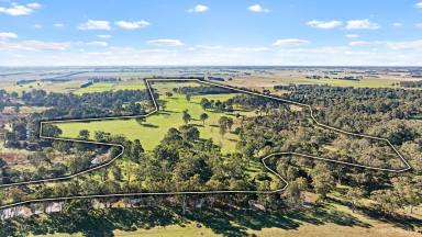 Farm For Sale - VIC - Kilmany - 3851 - “Llamadale” 167 Acres with Latrobe River Frontage   (Image 2)