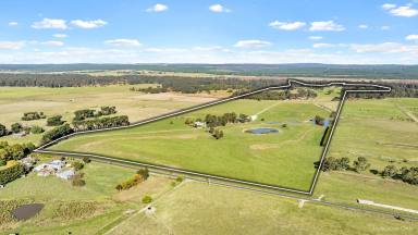 Farm For Sale - VIC - Kilmany - 3851 - “Llamadale” 167 Acres with Latrobe River Frontage   (Image 2)