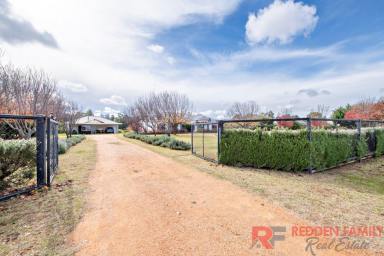 Farm For Sale - NSW - Narromine - 2821 - Absolute Peace & Tranquility In Town & On The River!  (Image 2)