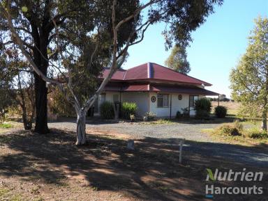 Farm For Sale - VIC - Echuca Village - 3564 - Start Your Farming Journey Here!!  (Image 2)