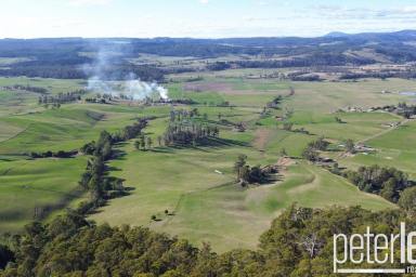 Farm For Sale - TAS - Karoola - 7267 - Spectacular Views on 20 Hectares  (Image 2)